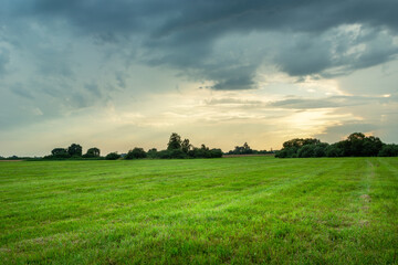 green meadow and cloudy sky, summer view