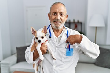 Wall Mural - Mature veterinarian man checking dog health pointing finger to one self smiling happy and proud