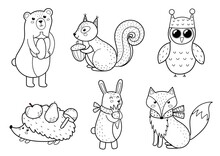 Cute Forest Animals Collection. Fall Woodland Black And White Characters For Kids Design. Bear, Fox, Owl, Hedgehog, Rabbit And Squirrel. Vector Illustration
