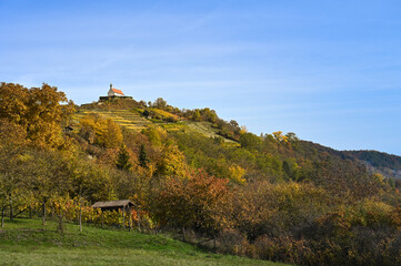 Wall Mural - Autumnal scenery showing the St. Remigius Chapel (Wurmlingen Chapel) on the top of a yellow-colored vineyard under a partly-cloudy sky.