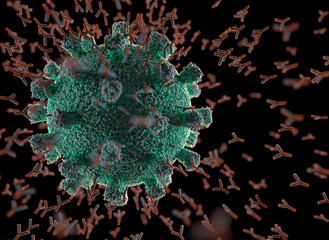 Canvas Print - Y-Shaped Antibody Attacking Coronavirus Covid-19