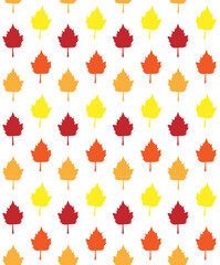 Wall Mural - Vector seamless pattern of different color hand drawn doodle sketch autumn leaves isolated on white background