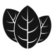 Cooking basil icon simple vector. Herb leaf