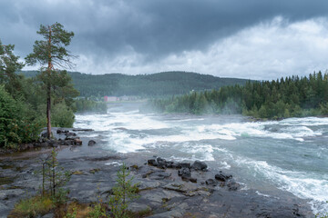 Storforsen, wild, huge waterfall on Pite River in Swedish arctic on a cloudy, rainy day of arctic summer. Norrbottens area, northwest of Alvsbyn. Wild nature of far north. Nature of Swedish Lapland