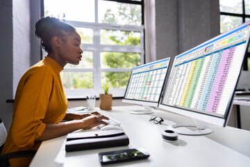 Poster - computer spreadsheet data analyst woman