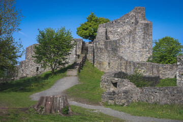 Wall Mural - Ruins of Löwenburg medieval castle