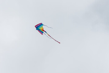 Wall Mural - colorful kites flying over the sky
