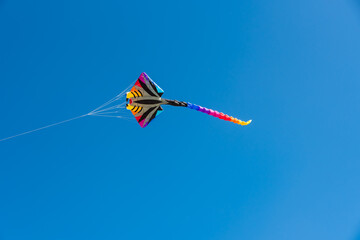 Wall Mural - colorful kites flying over the sky