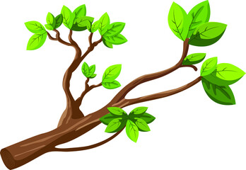 Cut tree branch sprouted with new green leaves. Tree branch with leaves isolated. 