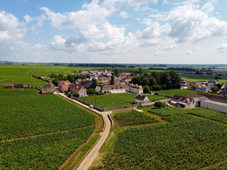 Aerian view on green grand cru and premier cru vineyards with rows of pinot noir grapes plants in Cote de nuits, making of famous red Burgundy wine in Burgundy region of eastern France.