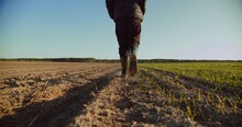 Low Angle: Man Walking In Rubber Boots In A Farmer's Field, The Blue Sky Above The Horizon. Man Walking Through An Agricultural Field. Farmer Walks Through A Plowed Field In Early Spring.