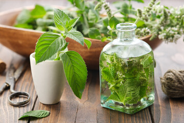 Wall Mural - bottle of infusion or oil made from mint leaves and blossom peppermint. mortar of fresh spearmint le