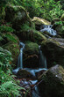 gertelbach bwaterfalls of the black forest (Schwarzwald), Baden-Wuerttemberg, Germany