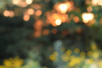 Natural sunset in summer garden bokeh background, blurred orange lights, greens and yellow flowers, abstract nature background, lights playing in garden of late summer.