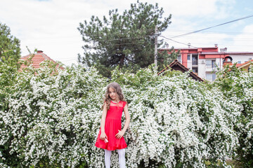 Wall Mural - Little girl in red dress outdoor portrait