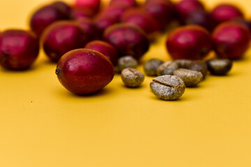 Closeup shot of fresh red coffee beans on a yellow background