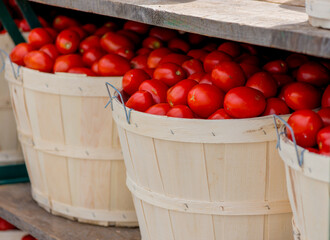 Wall Mural - bushel baskets of tomatoes at a market