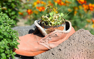 Funny garden decoration flower pot made of old shoe and iron can.