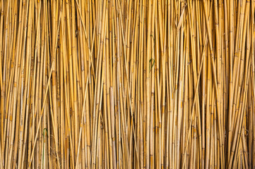  Fence from Dry reeds. Background from dry reeds.