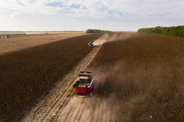 Aufkleber - Combine harvesters harvesting sunflower field at sunset. Aerial drone point of view.
