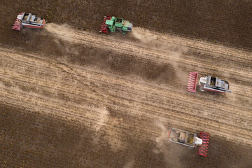 Poster - Combine harvesters harvesting sunflower field at sunset. Aerial drone point of view.
