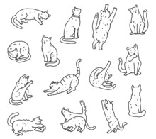 Set Of Line Cats In Different Poses. Not Pedigreed Pets Outline Doodle Black White Isolated Vector Illustration.