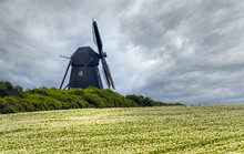 Ancient Windmill, Thy National Park, Northwest Jutland, Denmark