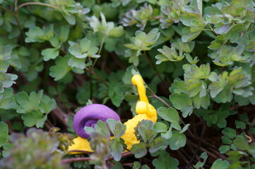 Sticker - A snail figurine made of plasticine in the green grass. A symbol of spring.