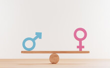 Blue Man Sign And Pink Woman Sign On Balance Wooden Seesaws For Equal Business Human Right And Gender Concept By 3d Rendering.