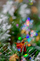 Wall Mural - Christmas background with pine branch and beautiful colored shiny bokeh. Red box. New Years holiday. Shallow depth of field.