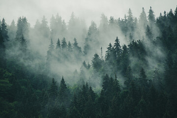 Wall Mural - misty mountain landscape