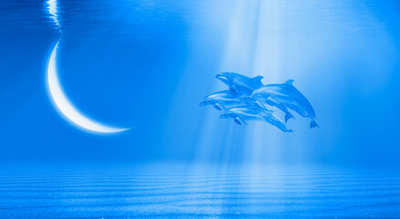 Poster - Crescent moon sinking over the sea - Group of dolphins swimming underwater in the blue tropical sea