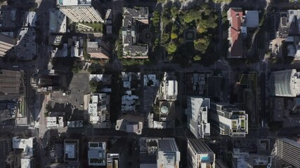 Wall Mural - Flying above modern American city downtown with streets, skyscrapers and parks