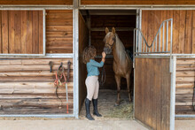 Unrecognizable Woman Caressing Horse In Stall In Riding School