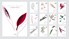 2022 Calendar Template On A Botanical Theme. Calendar Design Concept With Abstract Seasonal Flowers And Plants. Set Of 12 Months 2022 Pages. Vector Illustration