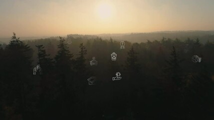 Wall Mural - ecological green energy icons concept drone shot of forrest sunset