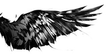 Drawn Stylized Eagle Bird Wing On White Background