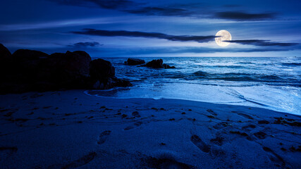 Wall Mural - huge stones on the sandy beach at night. wonderful velvet season vacation on the black sea in full m