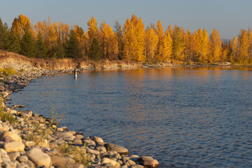 Wall Mural - Fisherman in North Fork Flathead River and colorful Fall foliage, Glacier National Park, Montana, USA