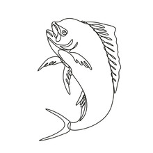 Continuous Line Drawing Illustration Of A Dorado Dolphin Fish Or Mahi Mahi Jumping Up Done In Mono Line Or Doodle Style In Black And White On Isolated Background. 