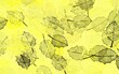 Dark Yellow vector doodle background with leaves.