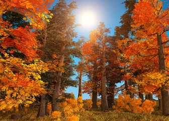 Wall Mural - 3D Autumn Forest