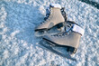 A pair of skates lie on the ice