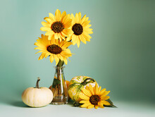 Yellow Gerbera Flowers In A Glass Vase Surrounded By Autumn Gourds And Pumpkins On Pastel Green Background. Creative Fall Concept. Autumn Natural Still Life Wallpaper.