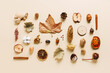 Collection of dry autumn fruitage and leaves isolated on a pastel beige background. Dry orange, apple, maple leaf, chestnut, nuts, and acorns. Creative fall season concept. Flat lay arrangement.