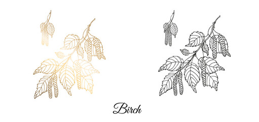 Wall Mural - Drawn birch branch. Monochrome and gold. On an isolated white background. Vector illustration.