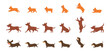 © garikprost - Dachshund, Spaniel dog and ordinary mongrel dog various poses flat line graphic isolated