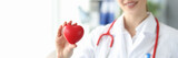Fototapeta  - Woman cardiologist holds small red heart in her hand