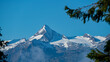 wonderful view of the hohen tauern with the kitzsteinhorn in austria, salzburg at a sunny morning with clear blue sky