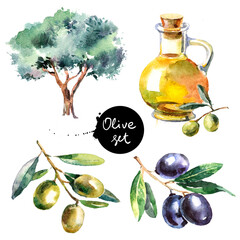 Wall Mural - Set of hand drawn colorful watercolor olive painting isolated on white background. Illustration of fruit olives, olive tree, olive oil